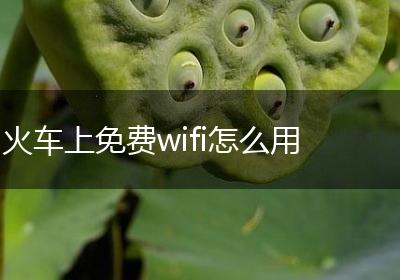 火车上免费wifi怎么用