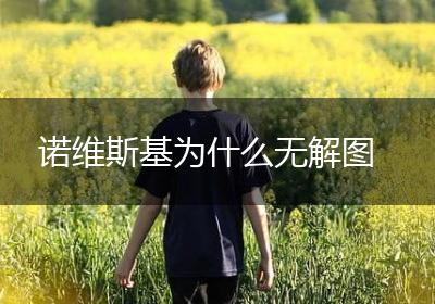 诺维斯基为什么无解图