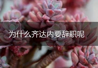为什么齐达内要辞职呢