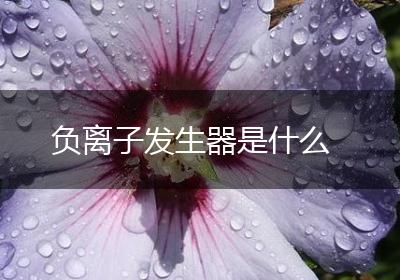 负离子发生器是什么