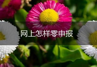 网上怎样零申报