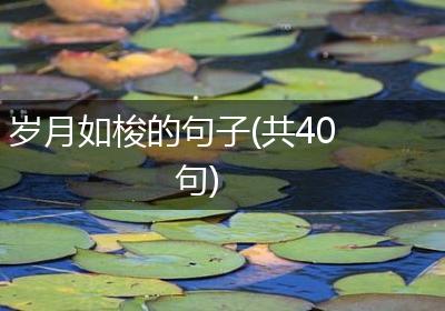 岁月如梭的句子(共40句)
