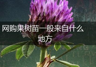 网购果树苗一般来自什么地方