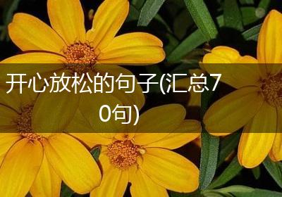 开心放松的句子(汇总70句)