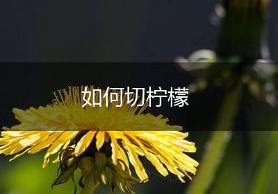 如何切柠檬