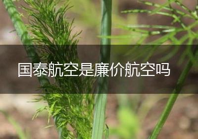 国泰航空是廉价航空吗