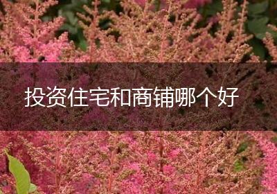 投资住宅和商铺哪个好