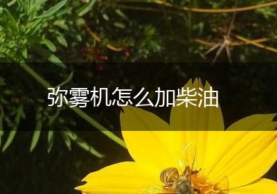弥雾机怎么加柴油