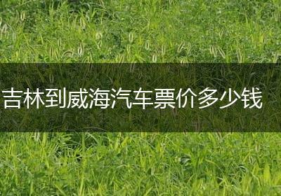 吉林到威海汽车票价多少钱