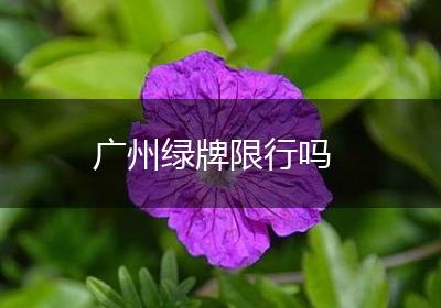 广州绿牌限行吗