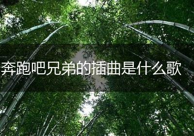 奔跑吧兄弟的插曲是什么歌