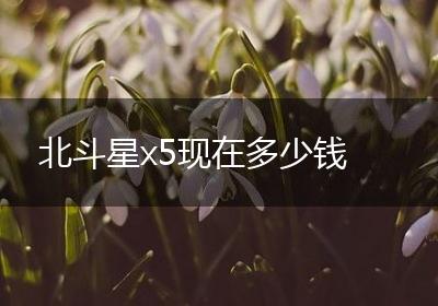 北斗星x5现在多少钱
