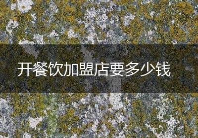 开餐饮加盟店要多少钱