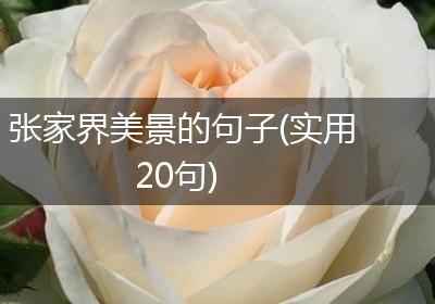 张家界美景的句子(实用20句)