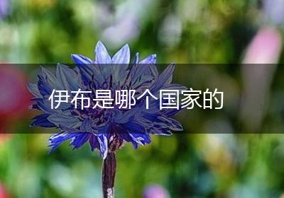 伊布是哪个国家的