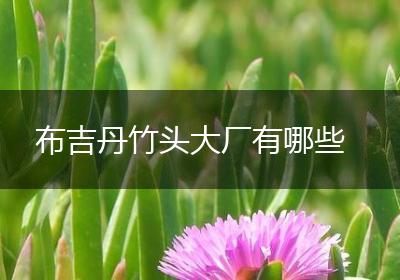 布吉丹竹头大厂有哪些