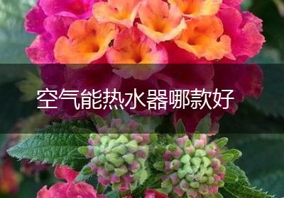 空气能热水器哪款好