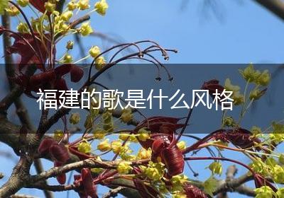 福建的歌是什么风格