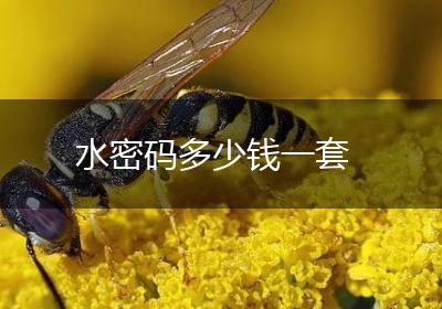 水密码多少钱一套
