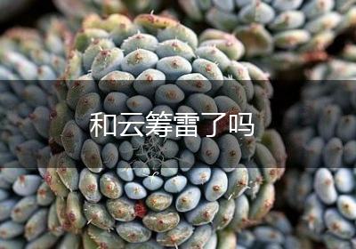 和云筹雷了吗