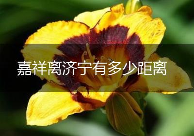 嘉祥离济宁有多少距离