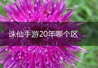 诛仙手游20年哪个区