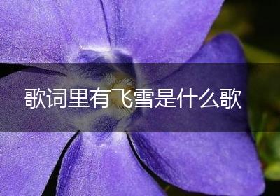 歌词里有飞雪是什么歌