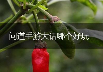 问道手游大话哪个好玩