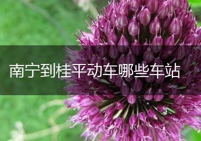 南宁到桂平动车哪些车站