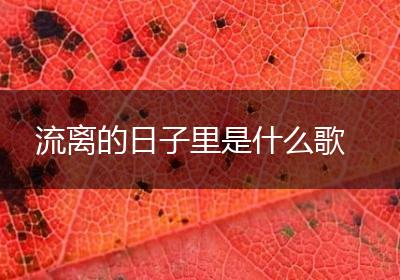 流离的日子里是什么歌