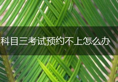 科目三考试预约不上怎么办