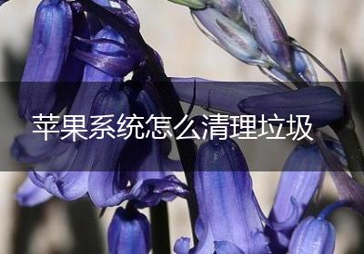 苹果系统怎么清理垃圾