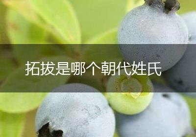 拓拔是哪个朝代姓氏