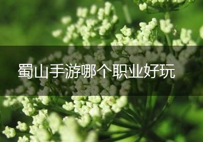 蜀山手游哪个职业好玩