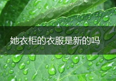 她衣柜的衣服是新的吗