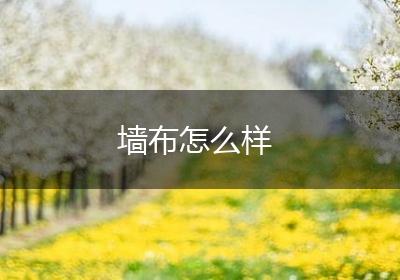 墙布怎么样