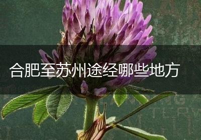 合肥至苏州途经哪些地方