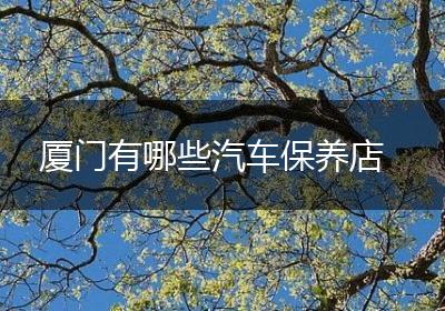 厦门有哪些汽车保养店