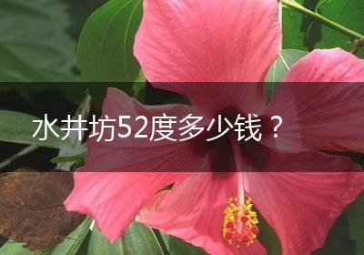 水井坊52度多少钱？