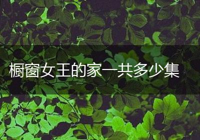 橱窗女王的家一共多少集