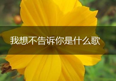 我想不告诉你是什么歌