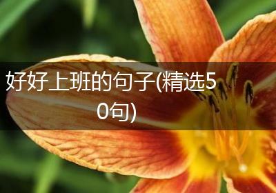 好好上班的句子(精选50句)