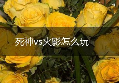 死神vs火影怎么玩