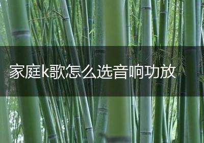 家庭k歌怎么选音响功放
