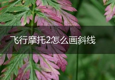 飞行摩托2怎么画斜线