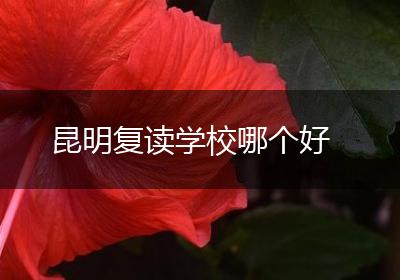昆明复读学校哪个好