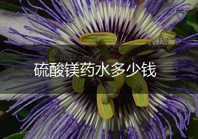 硫酸镁药水多少钱