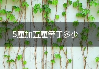 5厘加五厘等于多少