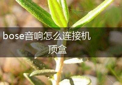 bose音响怎么连接机顶盒