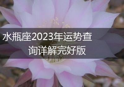 水瓶座2023年运势查询详解完好版